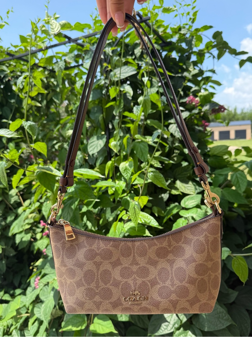 Coach Caitlin Brown Signature Mini Shoulder Bag with Gold Hardware